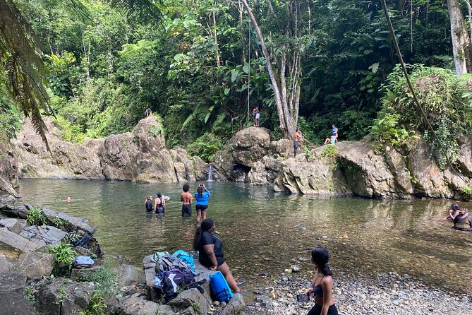 El Yunque Rainforest Morning River and Hike Adventure - Guides who shape the experience