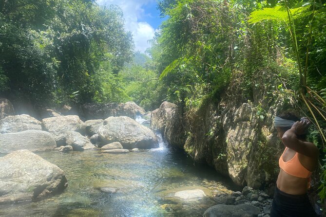 El Yunque Rainforest Morning River and Hike Adventure - Who will enjoy this tour most
