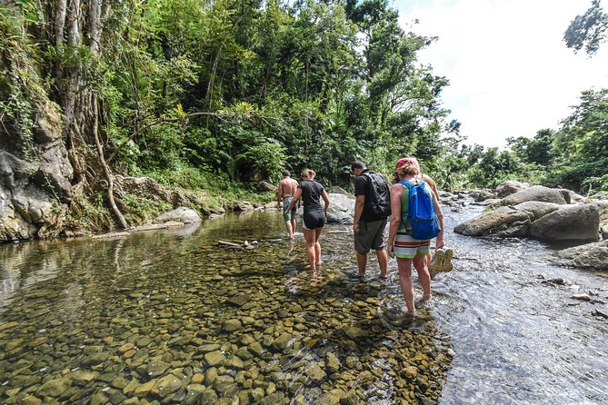El Yunque Rainforest Tour from Fajardo - What this Fajardo rainforest trip is really like