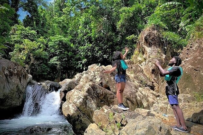El Yunque Rainforest Tour Half Day Earlybird/ Small Groups - The Saturday difference and other timing details