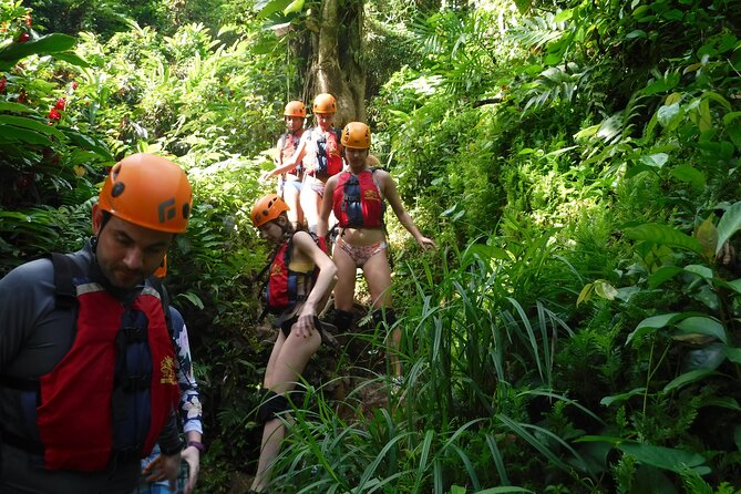 El Yunque Rainforest Tour: Natural Waterslides Adventure - Key things to know before you book