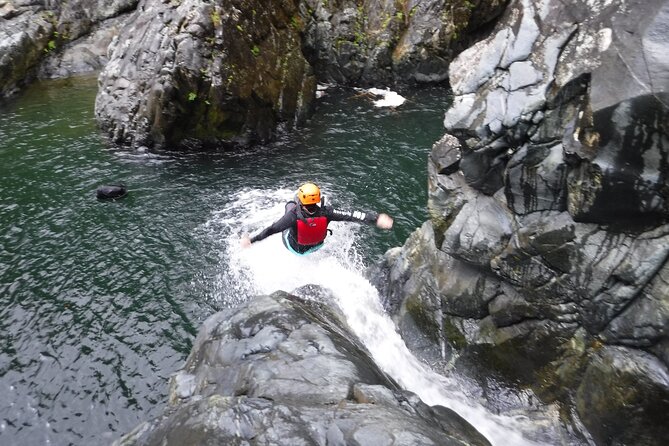 El Yunque Rainforest Tour: Natural Waterslides Adventure - Natural slides and waterfall pools