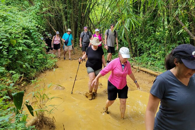 El Yunque Rainforest - Waterslide, Cliff jump, and Rope swing! - Lunch after the water activities