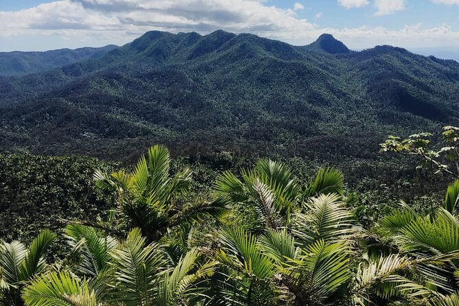 El Yunque Rainforest Waterslides and Luquillo Beach w/ Transport - Key points at a glance