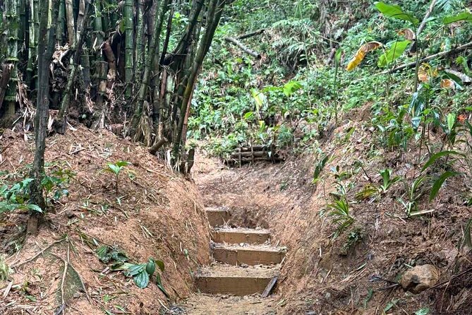 El Yunque Waterslides, Jumps, swing! small business owner:) - How the $40 price measures up