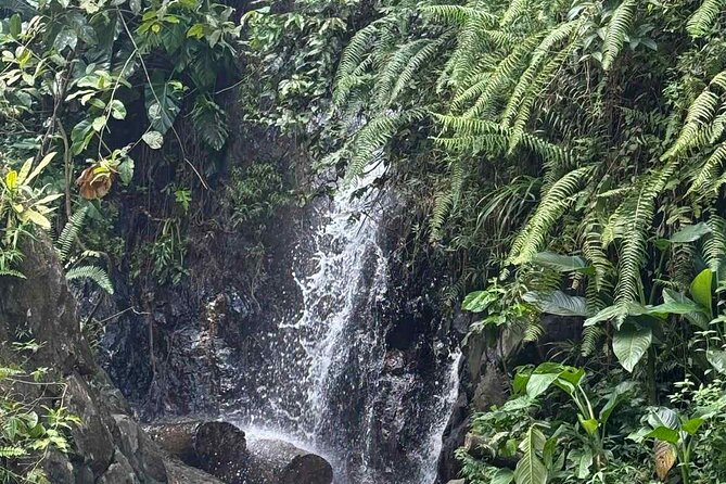 El Yunque Waterslides, Jumps, swing! small business owner:) - What to bring and what to leave behind
