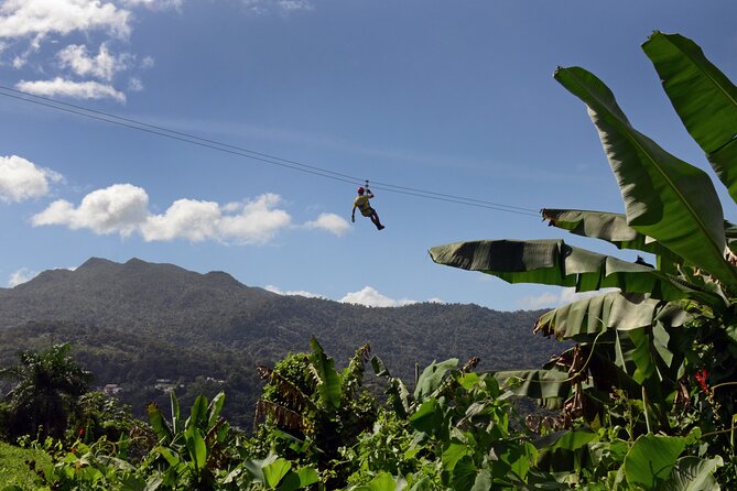 El Yunque Ziplining in Puerto Rico - Key Points Before You Book