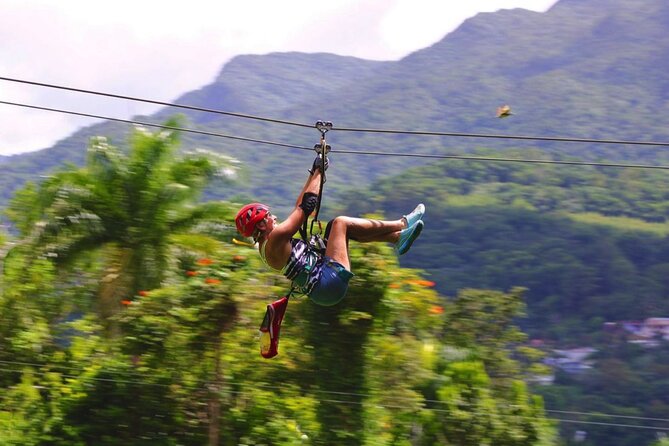 El Yunque Ziplining in Puerto Rico - A Short Walk With More Than Just Trees