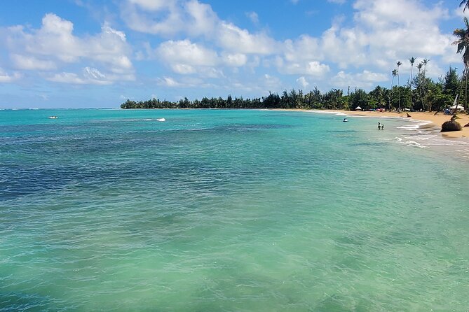 El Yunque Ziplining with River and Beach Visit - What this Puerto Rico day trip is really like