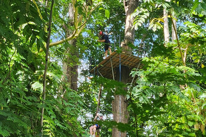 El Yunque Ziplining with River and Beach Visit - The 15-minute walk to the Mameyes River