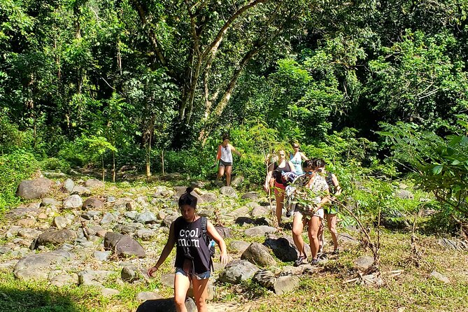 El Yunque Ziplining with River and Beach Visit - Nine or 11 zip lines in the El Yunque foothills