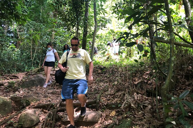 Epic Guided Adventure in El Yunque National Rainforest & Beach - Food, Drinks, and the Best Way to Use Your Beach Time