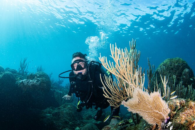 Experience Scuba - Key Points To Know Before You Book