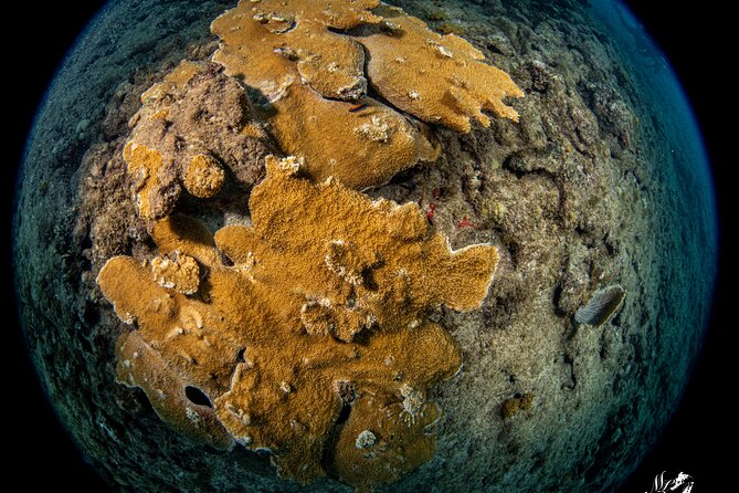 Experience Scuba - What The Two-Hour Session Is Really Like