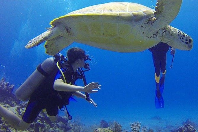 Experience Scuba Diving / NO certification Needed - What the 2.5-hour Rincón experience is really like