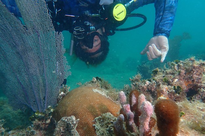 Experience Scuba Diving / NO certification Needed - Small groups and different levels of confidence