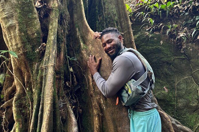 Explore El Yunque: Hiking, Swings & Waterslide (Small Group) - Safety, pace, and physical demands