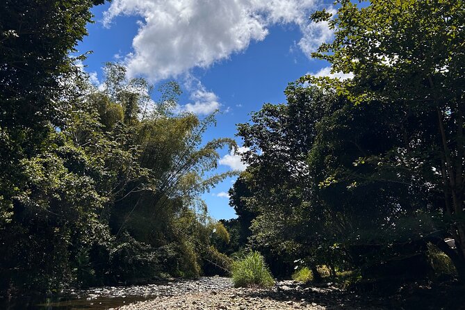 Explore El Yunque: Hiking, Swings & Waterslide (Small Group) - Who should book this El Yunque adventure?