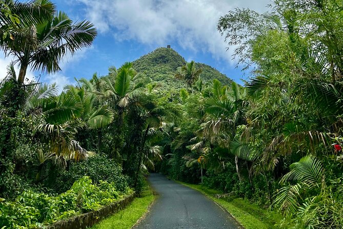 Explore El Yunque National Forest Guided Nature Adventure - Is the $110 price fair?