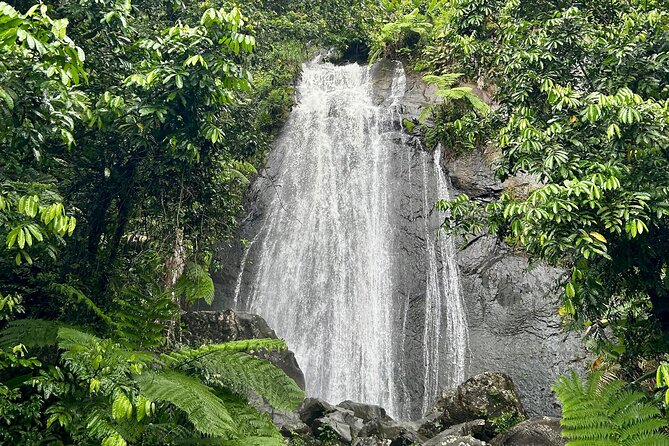 Explore El Yunque National Forest Guided Nature Adventure - Yocahú Tower and the high forest views