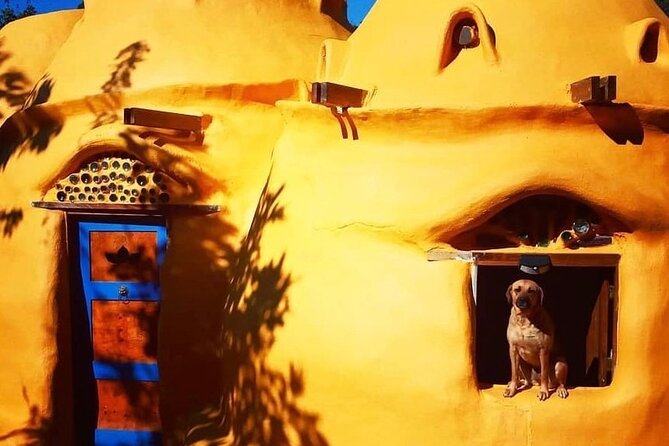 Explore Indigenous Roots, Experience a day in the life of a Taíno - Charco Los Morones and the Petroglyphs by the Water