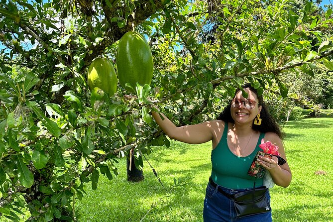 Explore Indigenous Roots, Experience a day in the life of a Taíno - What the $175 Price Covers
