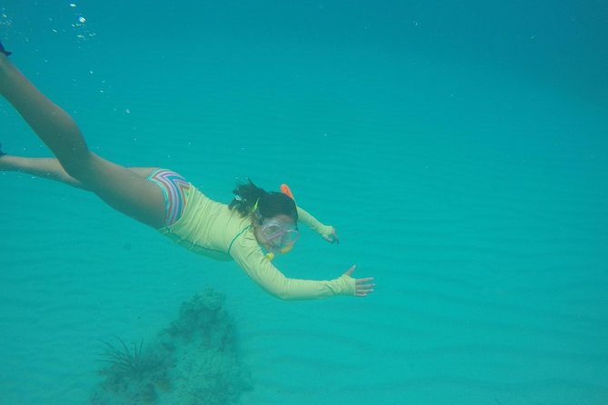 Fajardo Afternoon Snorkeling Adventure Tour - A social boat, but not only a booze cruise