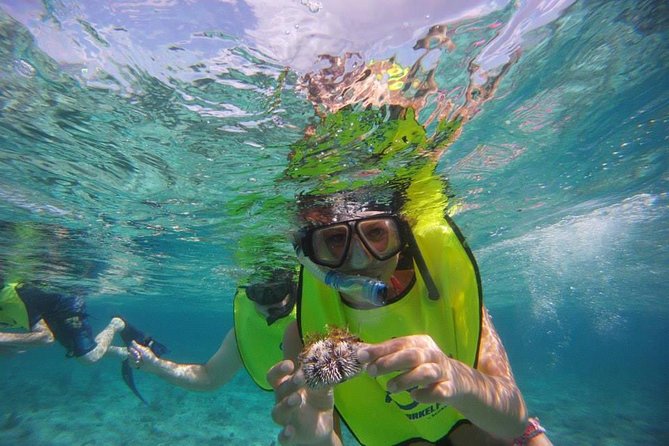 Fajardo Afternoon Snorkeling Adventure Tour - Meeting at Villa Marina at 2:30 pm