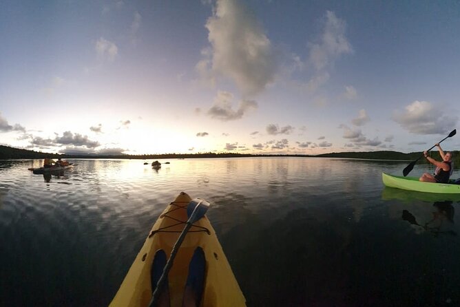 Fajardo Bioluminescent Bay Night Kayak Adventure from San Juan - What the Fajardo night looks like from San Juan