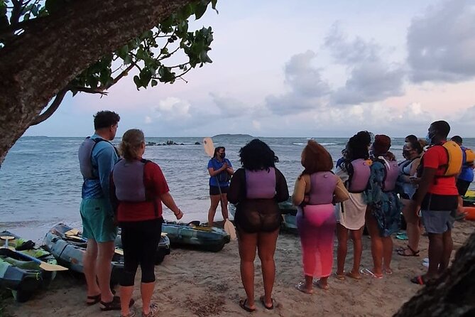 Fajardo Bioluminescent Bay Night Kayak Adventure from San Juan - Reaching Laguna Grande and looking for the glow
