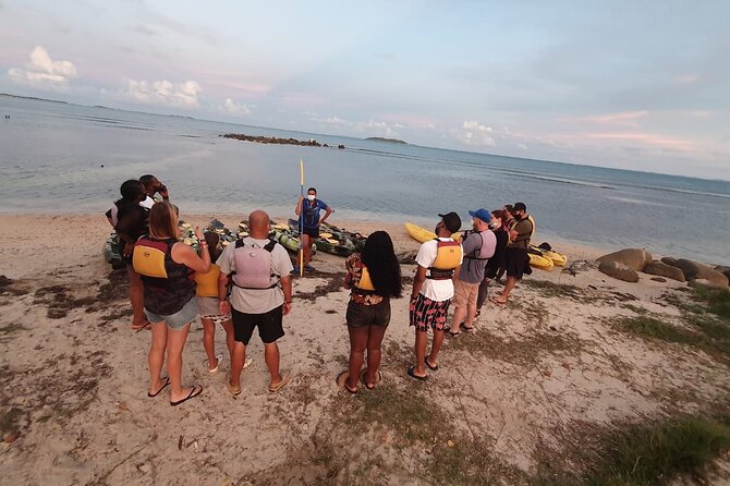 Fajardo Bioluminescent Bay Night Kayak Adventure from San Juan - The night sky and the mangroves add real value