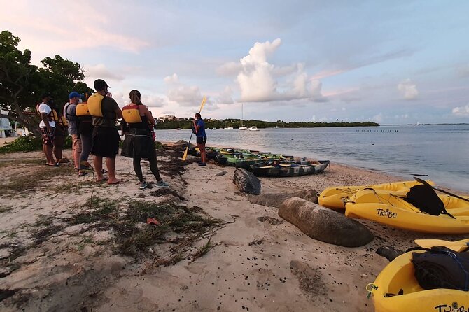 Fajardo Bioluminescent Bay Night Kayak Adventure from San Juan - Transportation and communication deserve attention
