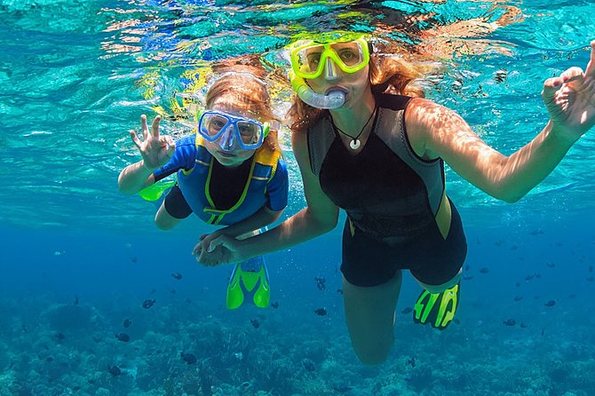 Fajardo, Puerto Rico: Morning Snorkeling Beach Tour - The first reef: expect nature, not a guarantee