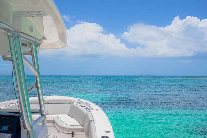 Fajardo Puerto Rico Private Boat Tour to Cayo Icacos - The captains and level of service