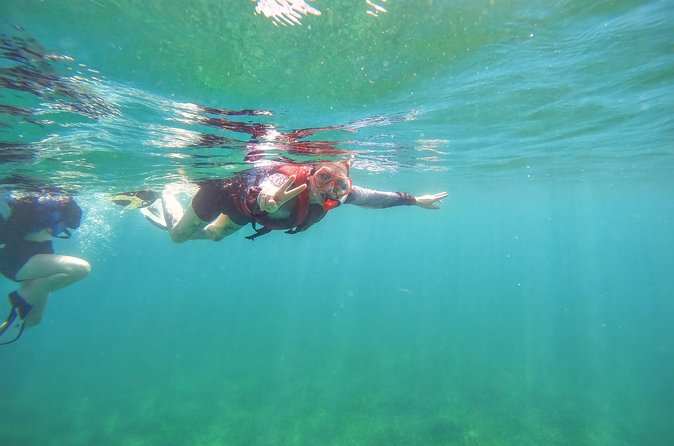 Family Snorkeling Tour - Is $57 per person a fair price?