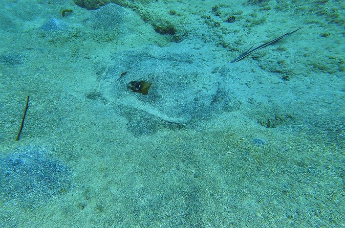 Family Snorkeling Tour - Weather, cancellation, and what to confirm