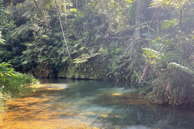 Famous Guavate Pork Road & Charco Azul Food & River Tour - Guides make the difference