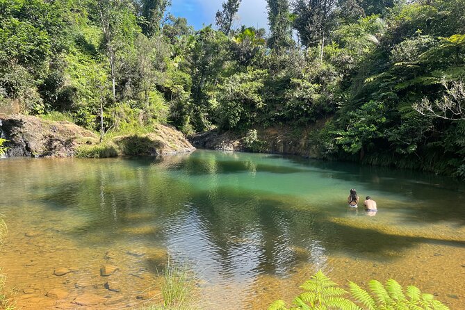 Famous Guavate Pork Road & Charco Azul Food & River Tour - Who will enjoy this tour most