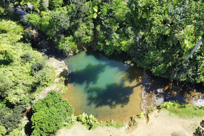 Famous Guavate Pork Road & Charco Azul Food & River Tour - Guavate and the famous Pork Road