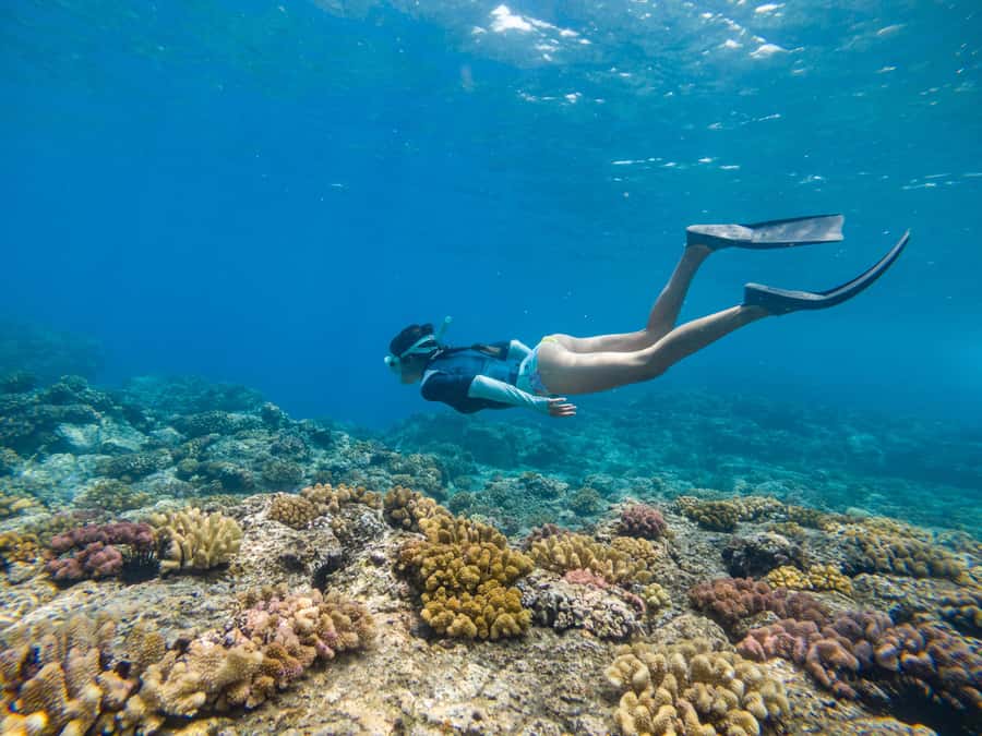 From Fajardo: Boat and Snorkeling in Culebra Island with All-Inclusive - The morning start at Puerto del Rey Marina