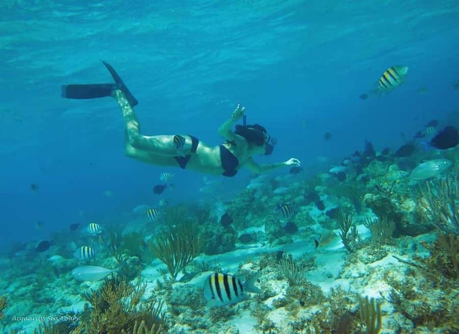 From Fajardo: Boat and Snorkeling in Culebra Island with All-Inclusive - The crew and the overall mood