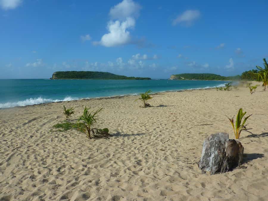 From Fajardo: Boat and Snorkeling in Culebra Island with All-Inclusive - Who should book this outing
