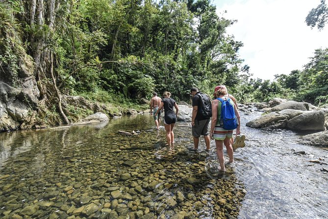 From San Juan: El Yunque Rainforest Hiking Adventure - Why this El Yunque outing feels different