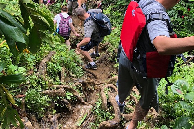 From San Juan: El Yunque Rainforest Hiking Adventure - Shoes, clothing, and what to pack