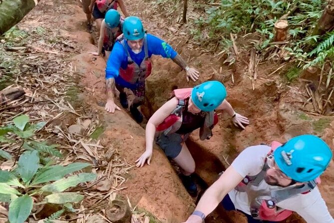 From San Juan: El Yunque Rainforest Hiking Adventure - Price, timing, and overall value
