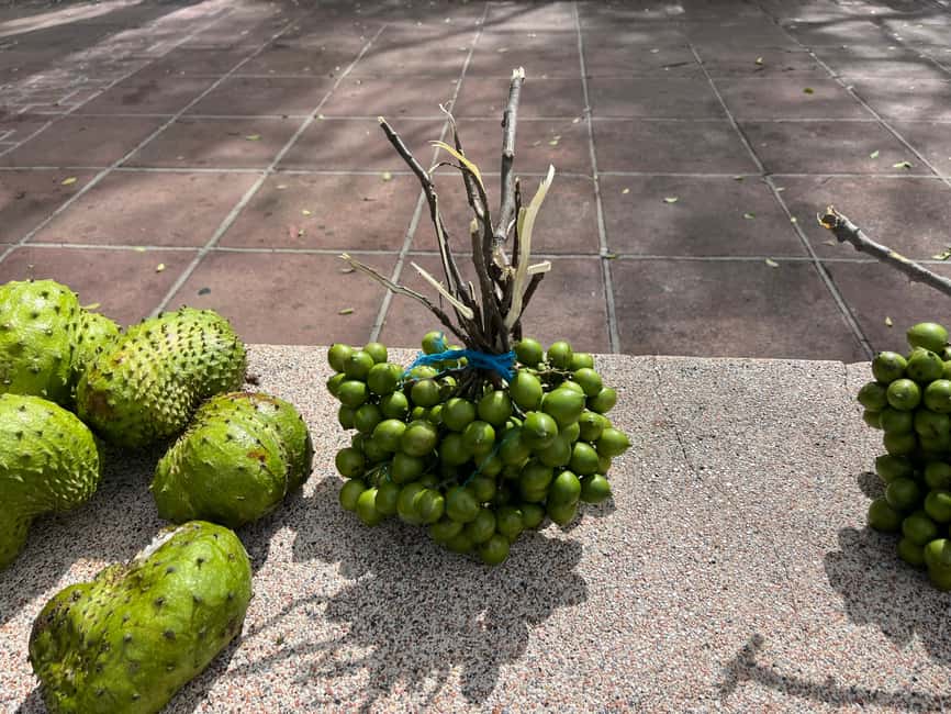 From San Juan: Full-Day Cultural Road Trip to Ponce - What the guides add to the experience