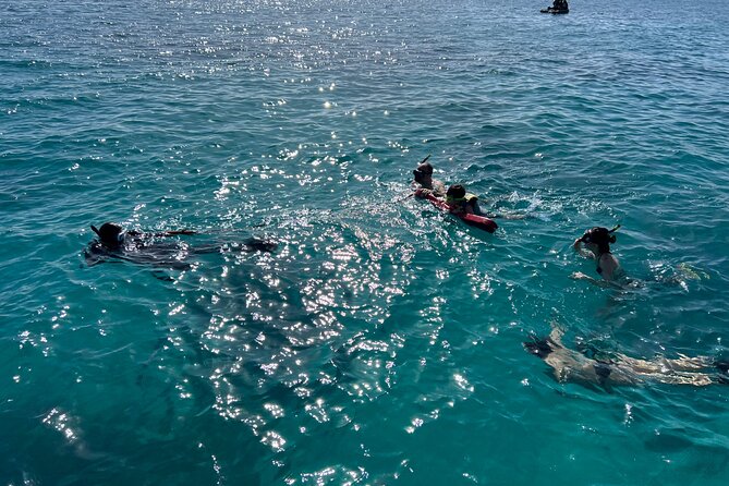 Full Charter All Inclusive for Icacos and Palomino - Sailing To Isla Palominos
