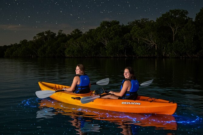 Full Clear Kayak Bioluminescent Experience Vieques, Puerto Rico - Quick points about this Vieques kayak trip