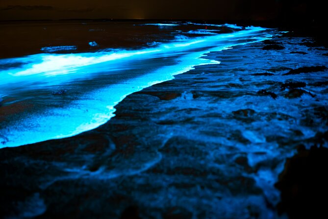 Full Clear Kayak Bioluminescent Experience Vieques, Puerto Rico - Starting at 148 Calle Flamboyan