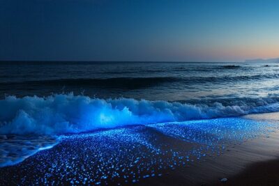 Full Clear Kayak Bioluminescent Experience Vieques, Puerto Rico
